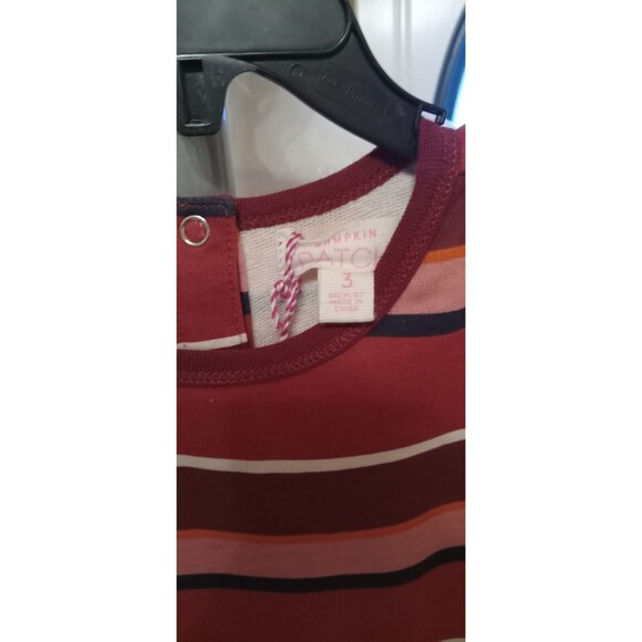 Pumpkin Patch Girls Burgundy Pink Stripe Fleece Pocket Dress Size 3 NWT Cute! - Picture 5 of 8